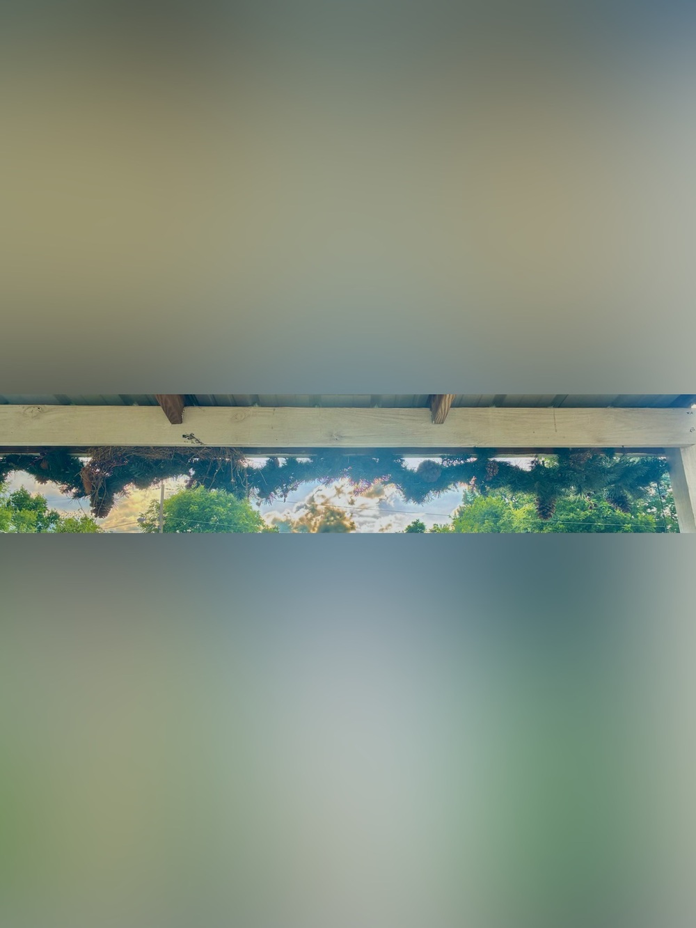 Evergreen Pine Cone Garland - Blue-Green